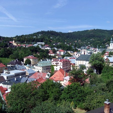 阿贾杰全景公寓 Banská Štiavnica 外观 照片